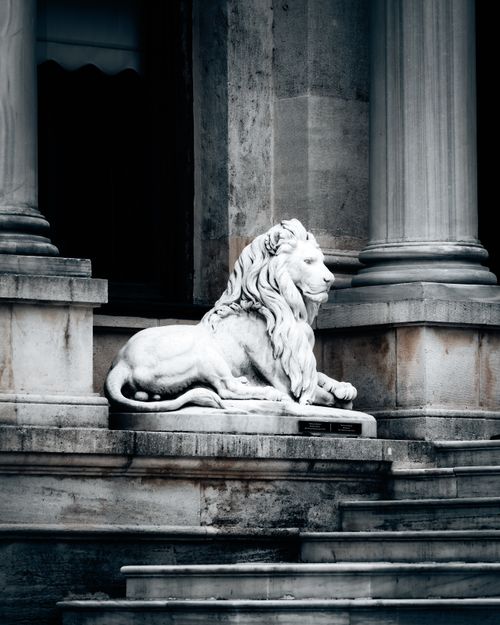 Free Marble lion statue gracefully perched on historical steps between grand columns. Stock Photo