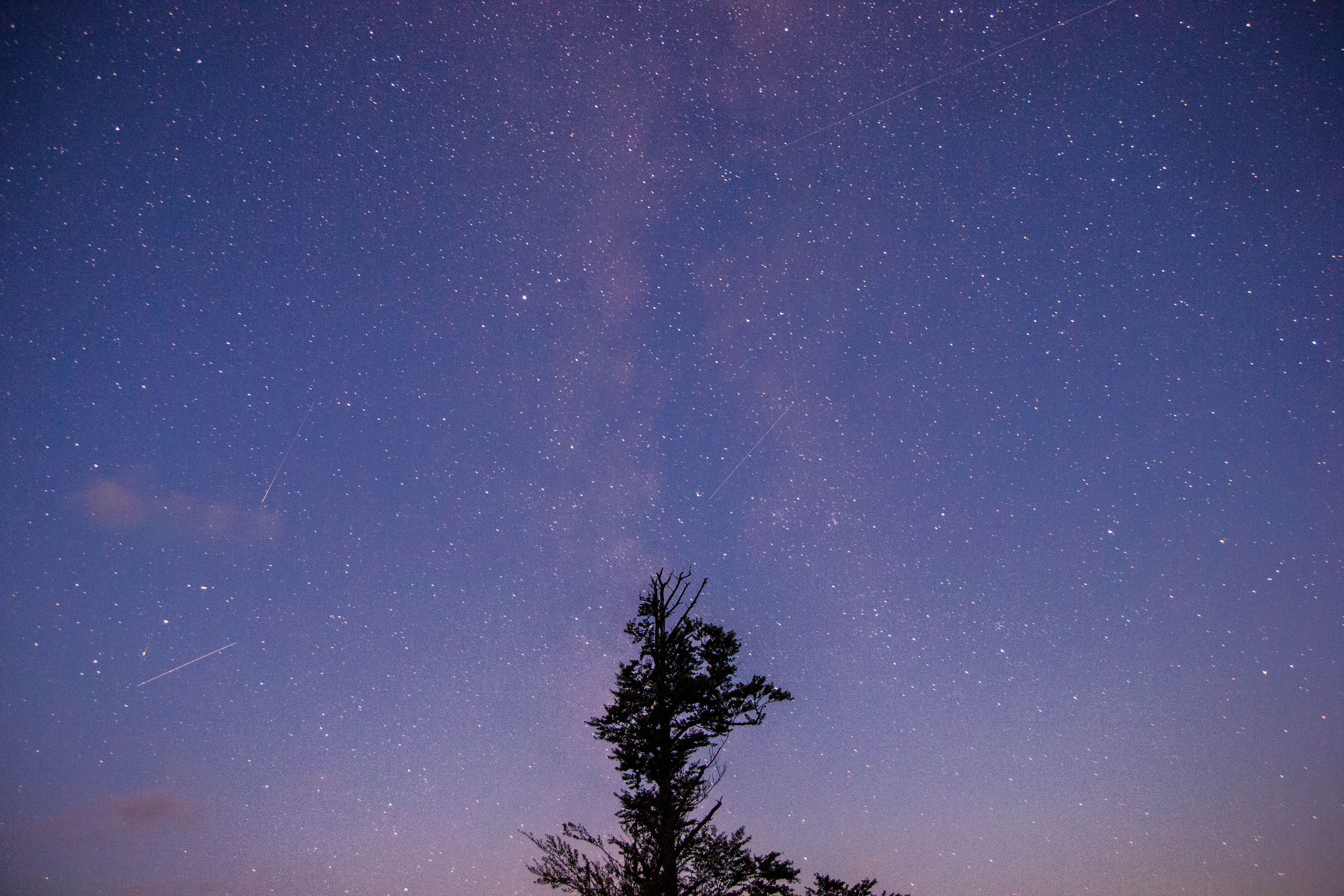 Breathtaking starry night sky over Lunca Bradului, showcasing shimmering stars and a silhouetted tree.