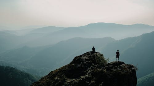 숲 자연, 아름다운 풍경, 케 랄라의 무료 스톡 사진