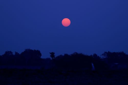 Free A captivating red moon shining brightly against a dark, silhouetted landscape during the night. Stock Photo
