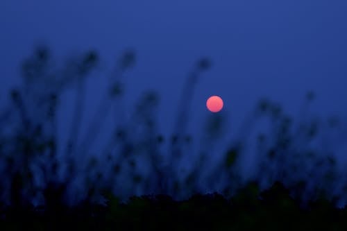 Foto d'estoc gratuïta de camp, Cel fosc, cel nocturn