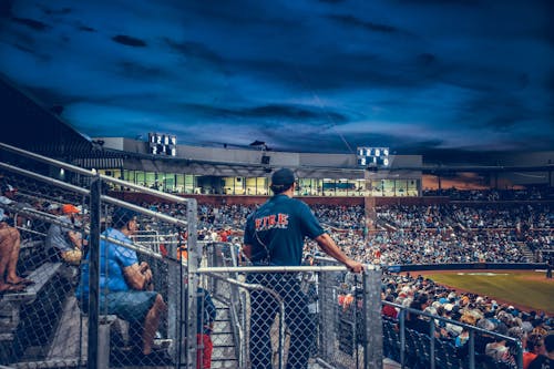 Free stock photo of baseball, baseball game, crowd