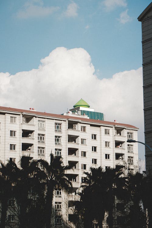 Apartment Building with Palm Trees in front of it