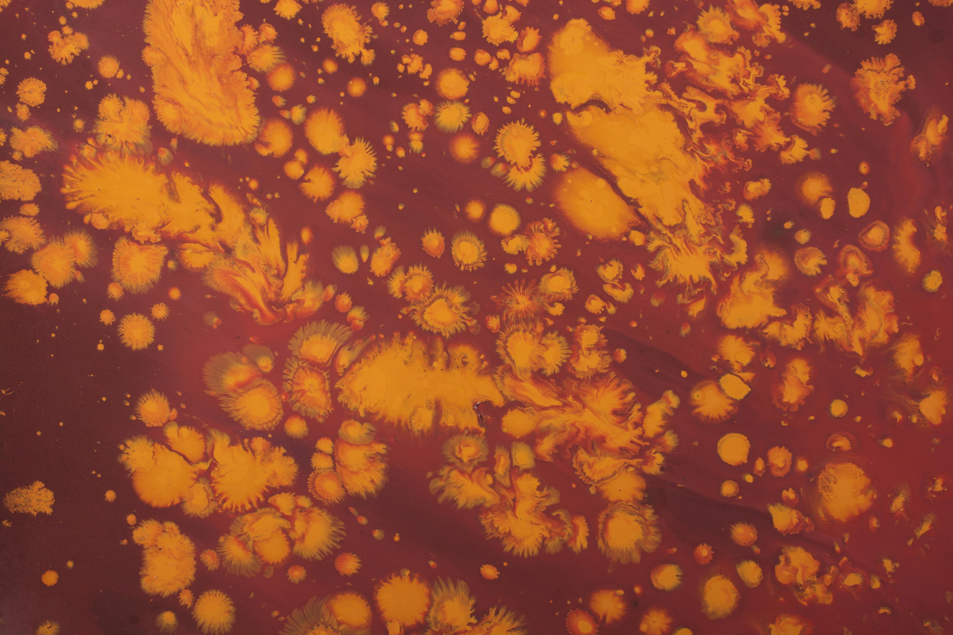 Dichloromethane And Water:  Mixing It Up Safely - 5egfwu7