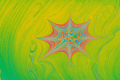 Red, Blue and Green Canvas Outlining a Spider Web