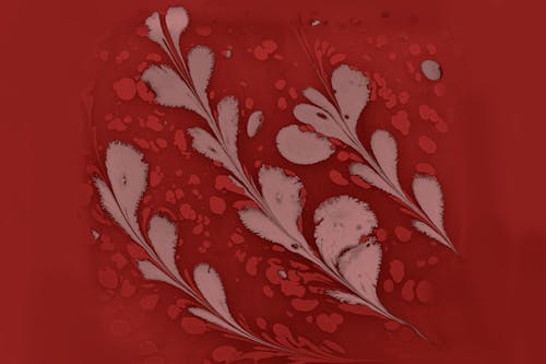 Red and White Wallpaper Outlining Flowers