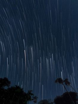 Long exposure capturing star trails in a dark night sky with silhouetted trees.