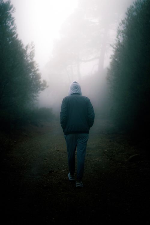 Free A solitary man in a hoodie walks through a foggy forest path in Tissemsilt, Algeria. Stock Photo