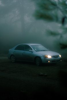 Misty rural scene with a car in the foggy forest of Tissemsilt, Algeria.