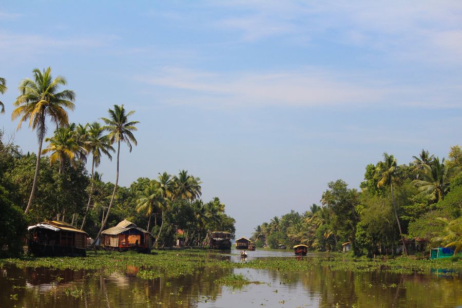 Alleppey (Backwaters) photo 4