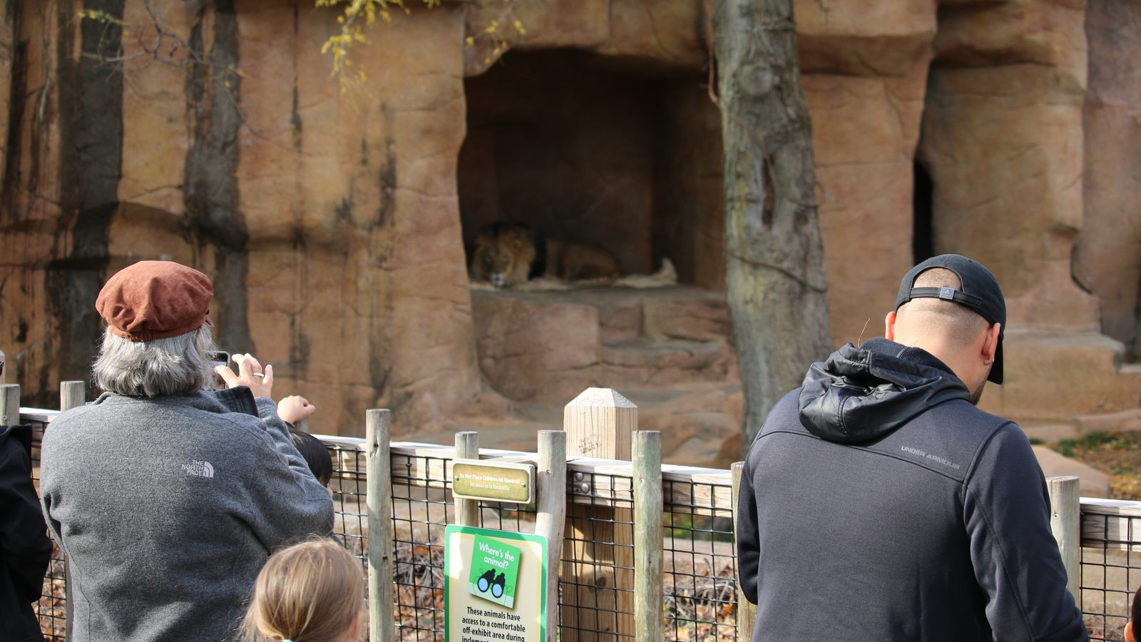 Zoo di Berlino: biglietti, orari e consigli per organizzare la visita