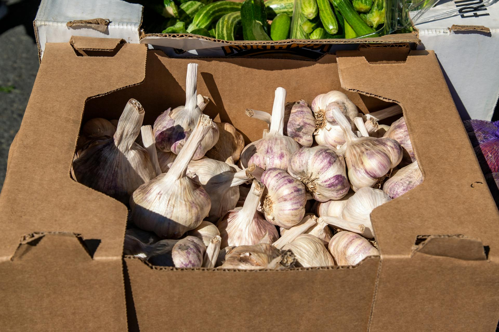 Free stock photo of bag, basket, box