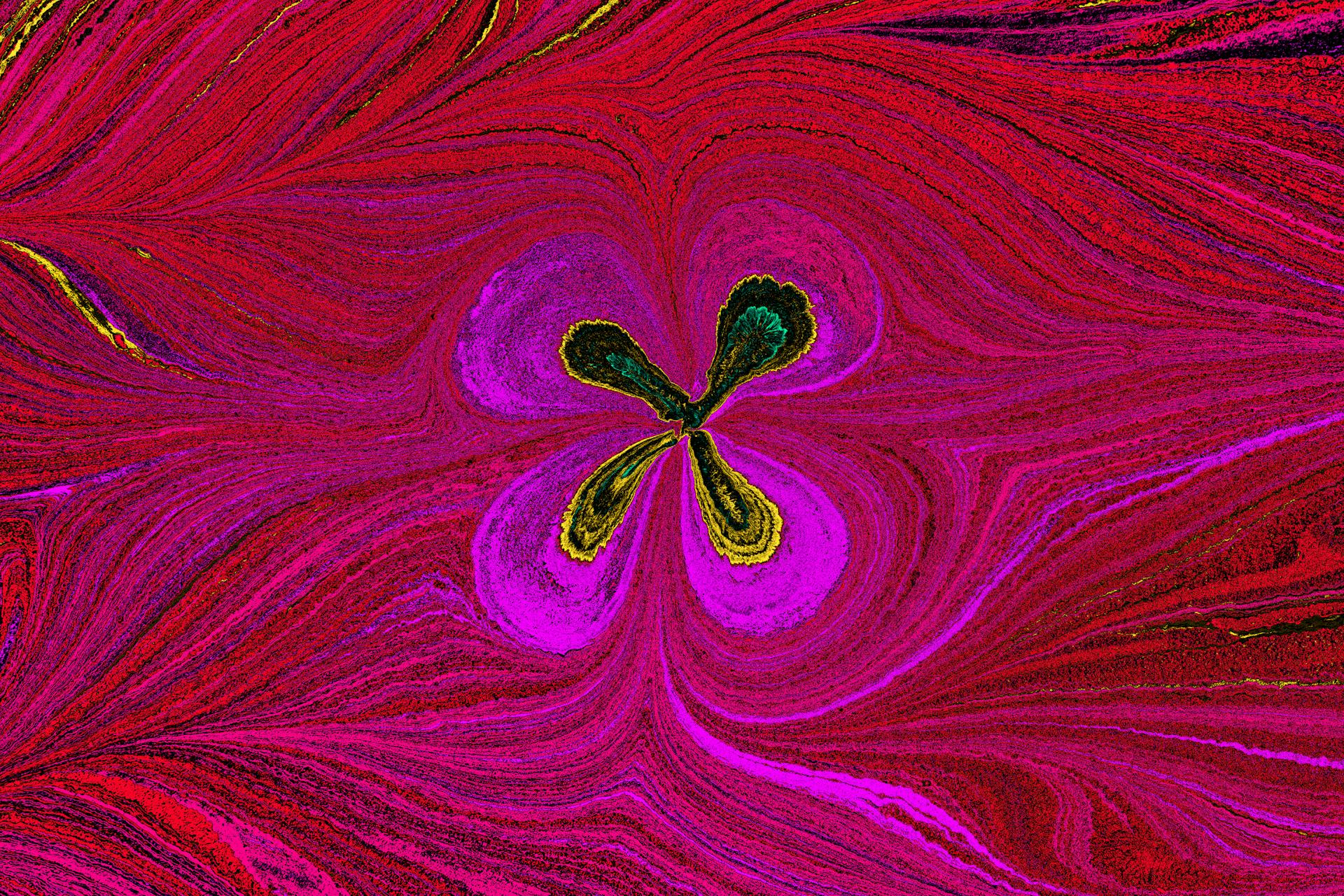 Colorful abstract swirls creating a floral pattern with a central symmetry.