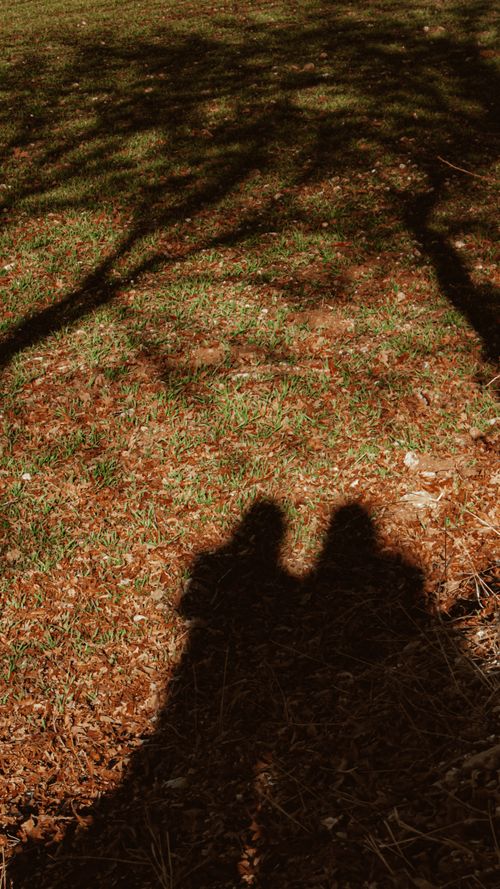 Free Shadows of a couple holding hands on a grassy field during autumn sunset. Stock Photo