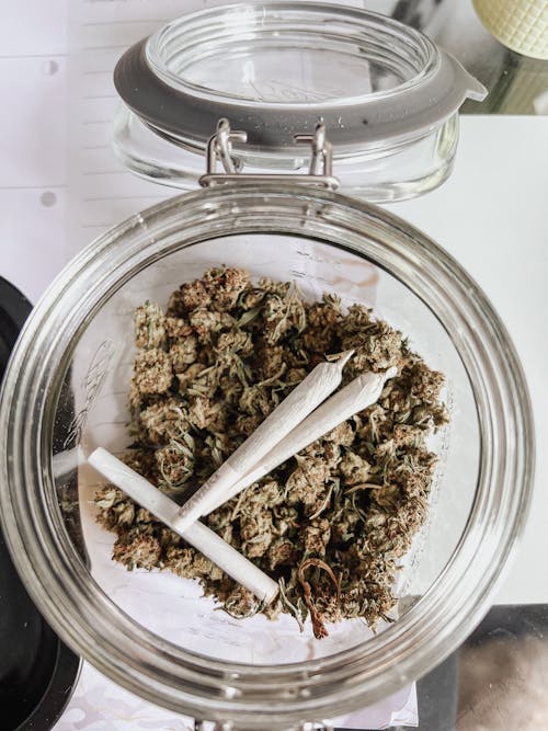 Dried Cannabis on a Glass Jar