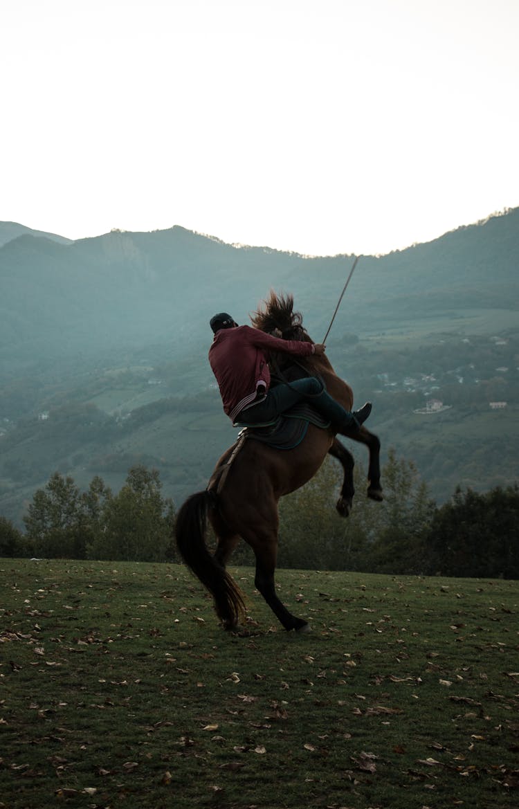 Person Riding Jumping Horse