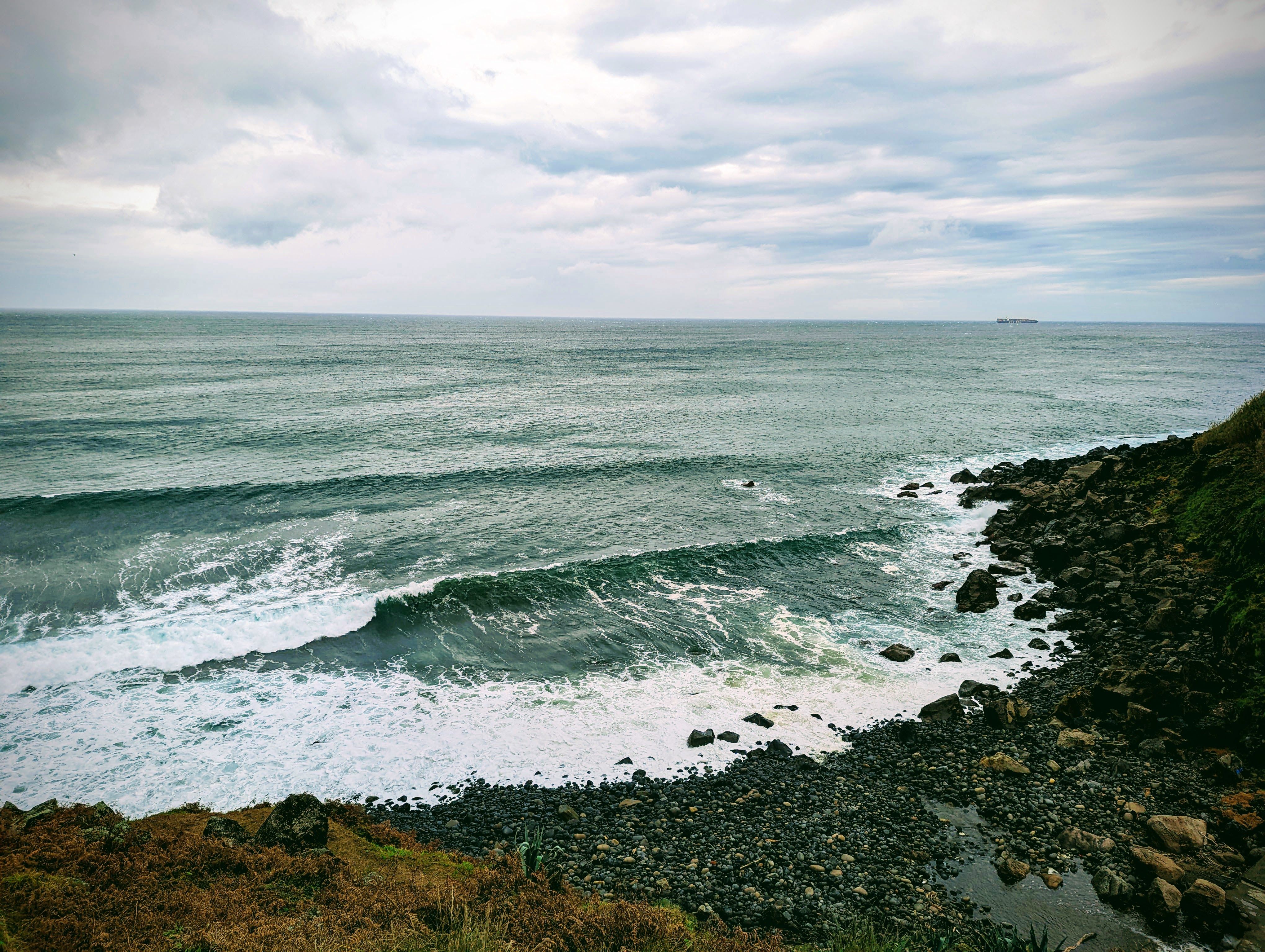 Atlantic Lezard Surf School : l'esprit lézard à Brétignolles