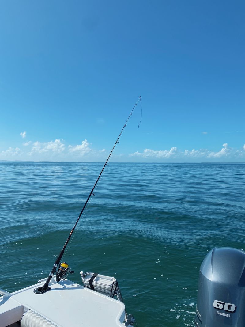 Pesca costera