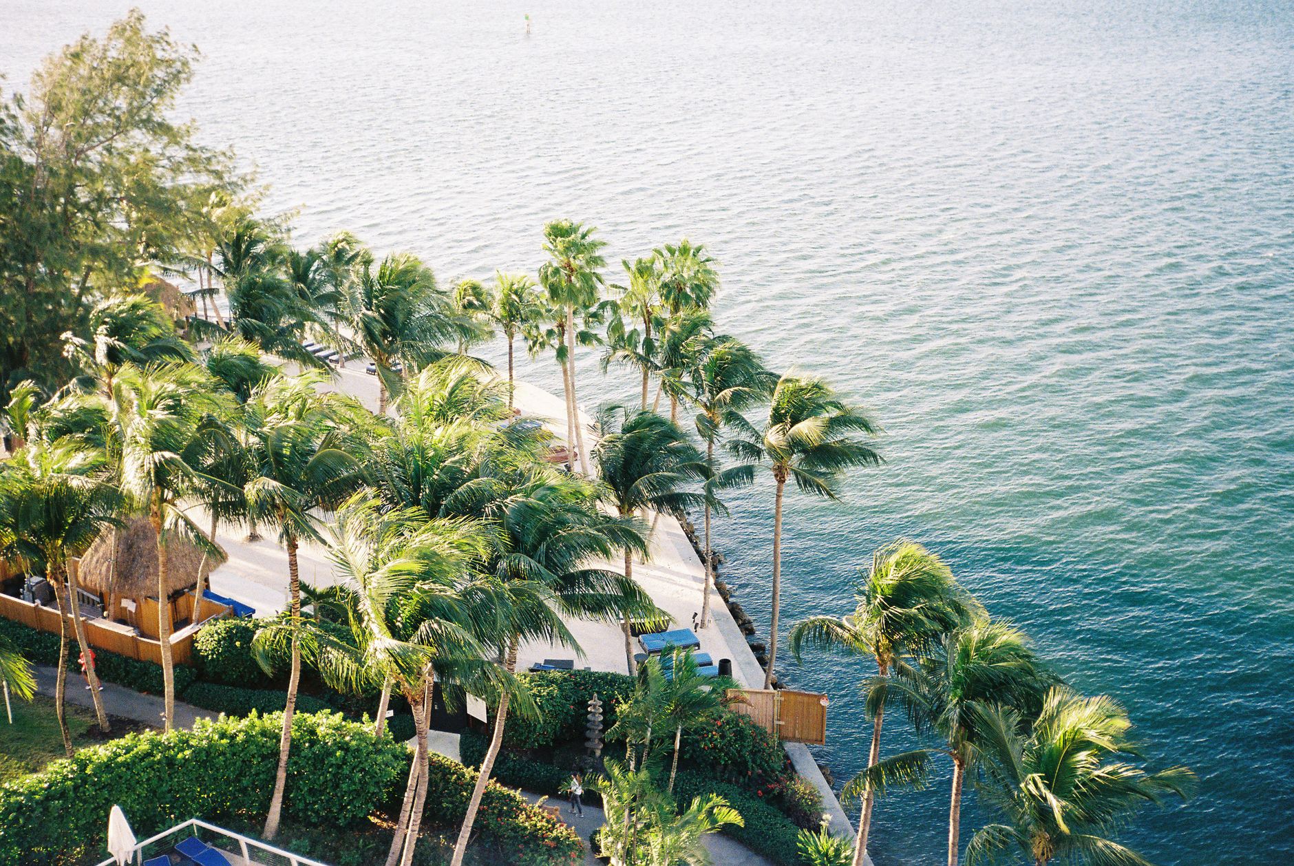 Coconut Grove lifestyle with waterfront views and lush tropical scenery in Miami
