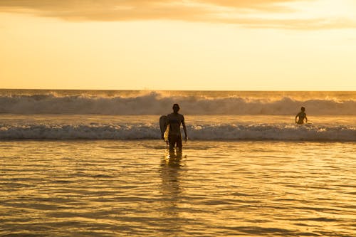 Free stock photo of beach, sunset, surfing Stock Photo