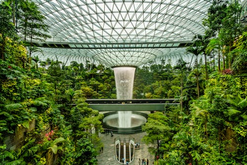 Δωρεάν στοκ φωτογραφιών με αεροδρόμιο Σινγκαπούρης Τσανγκί, γυάλινη οροφή, δέντρα Φωτογραφία από στοκ φωτογραφιών