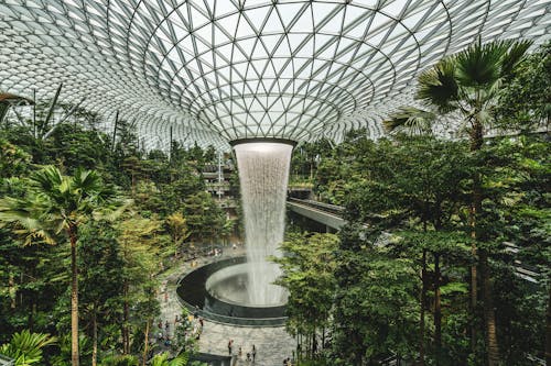 Δωρεάν στοκ φωτογραφιών με αεροδρόμιο Σινγκαπούρης Τσανγκί, γυάλινη οροφή, εσωτερικός χώρος Φωτογραφία από στοκ φωτογραφιών