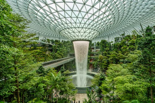 Δωρεάν στοκ φωτογραφιών με αεροδρόμιο Σινγκαπούρης Τσανγκί, γυάλινη οροφή, δέντρα Φωτογραφία από στοκ φωτογραφιών