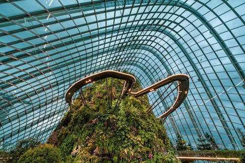 Interior of the Cloud Forest - Botanical Garden in Singapore 