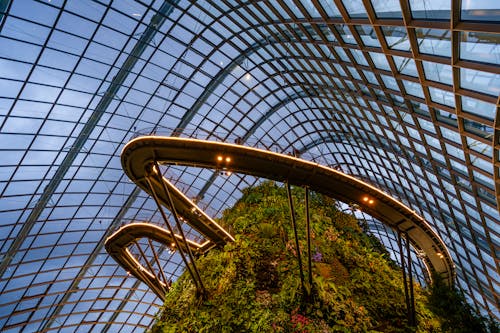 Interior of the Cloud Forest - Botanical Garden in Singapore 
