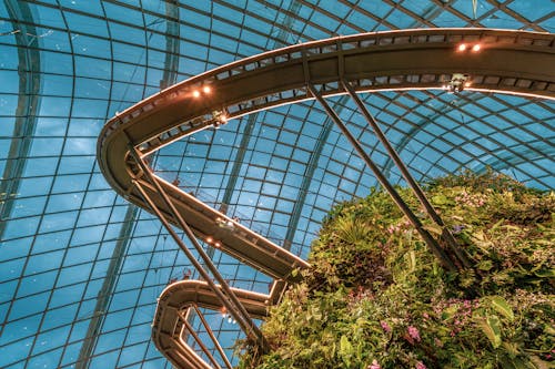 Cloud Forest in Singapore