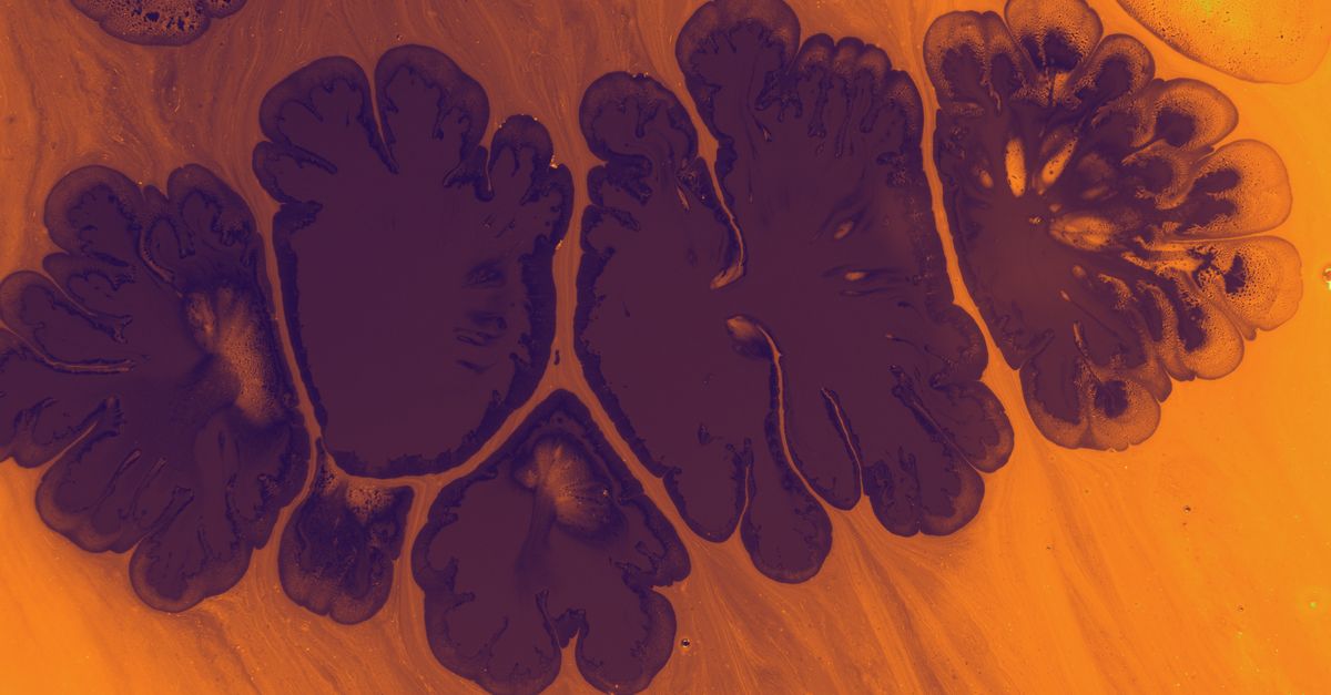 What Is Brain Cell Damage in Stroke