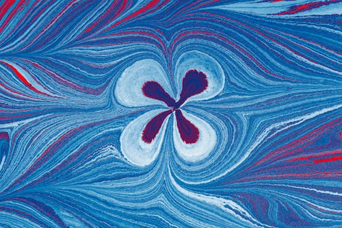 Bezpłatne Darmowe zdjęcie z galerii z dekoracyjny, kwiat, niebieski Zdjęcie z galerii
