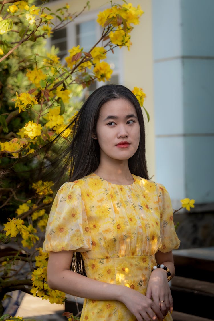 Cute Girl In Yellow Dress Next To Yellow Apricot Blossom  Tree