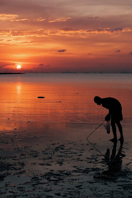 A Silhouette of a Man with a Stick on a Shore during the Golden Hour