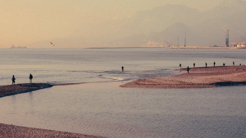 Безкоштовне стокове фото на тему «берег, знімок із дрона, люди»