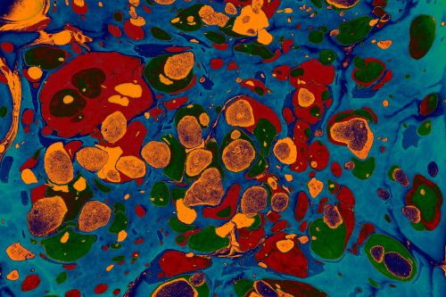 Free Dynamic abstract fluid art painting with vibrant colors and organic shapes. Stock Photo
