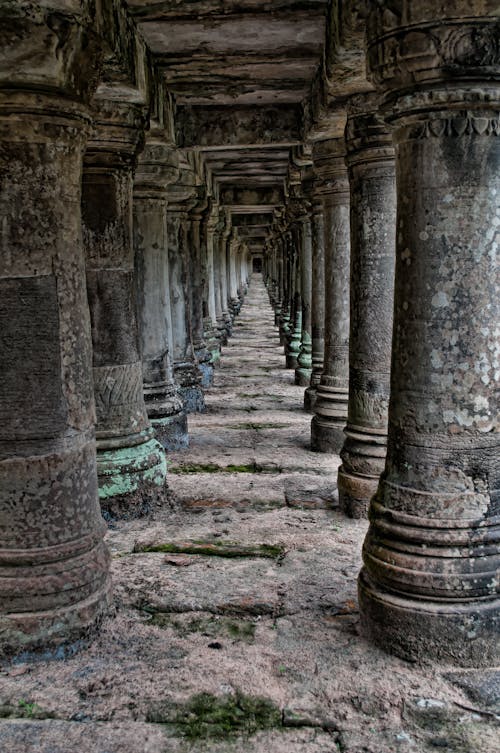 Foto d'estoc gratuïta de a l'aire lliure, adornat, angkor wat