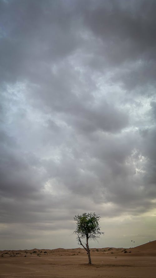 Ilmainen kuvapankkikuva tunnisteilla maisema, pilvinen, sää