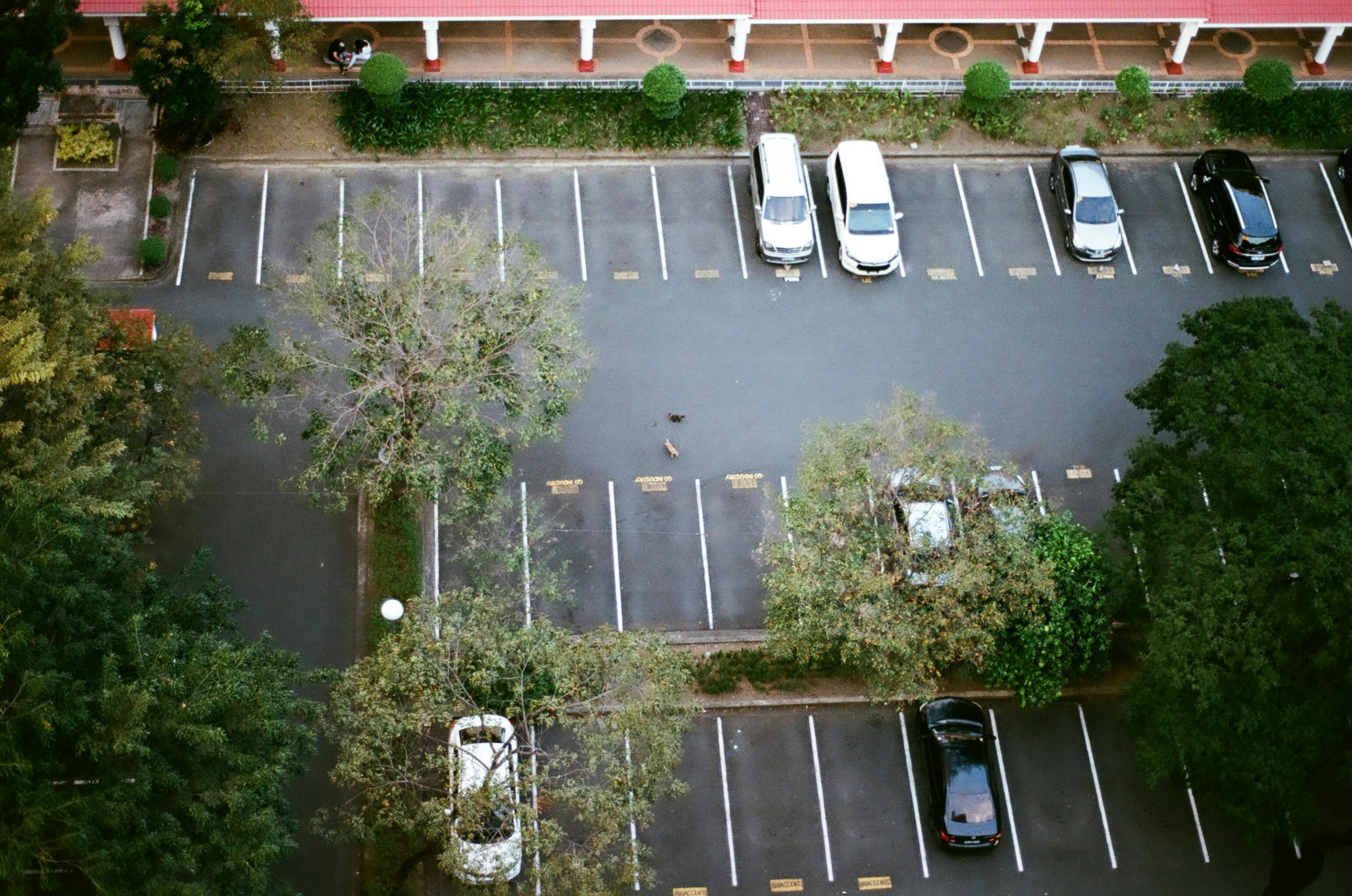 Free stock photo of cars, parking, parking slot