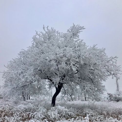Free stock photo of art gallery, artificial snow, follow Stock Photo