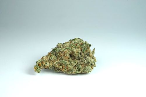 Free Haze Monkey Stock Photo