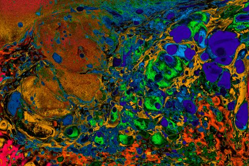 Free Dynamic fluid art featuring vibrant colors and swirling patterns for creative backgrounds. Stock Photo
