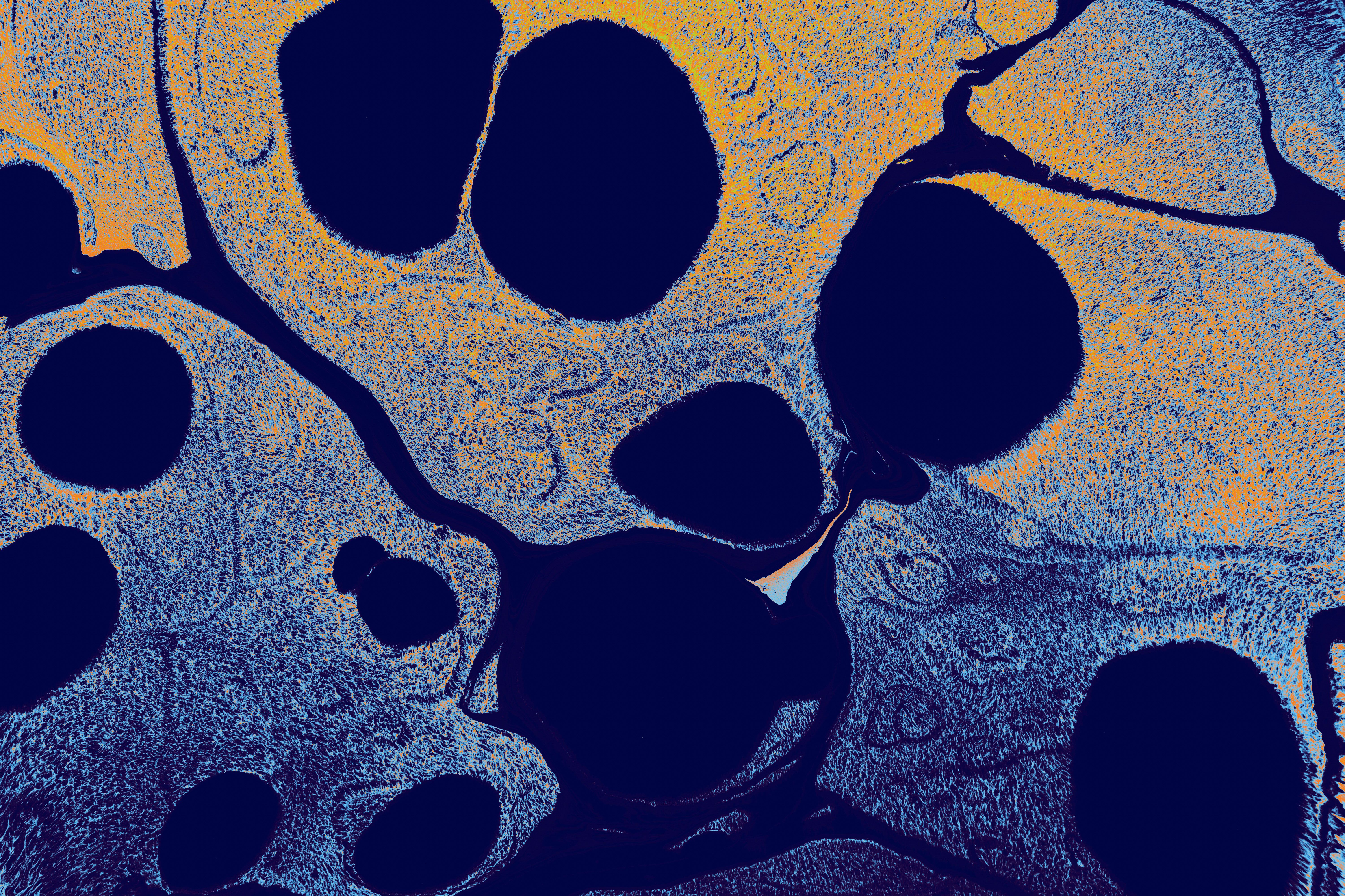 Artistic abstract image featuring blue and yellow textures with circular patterns.
