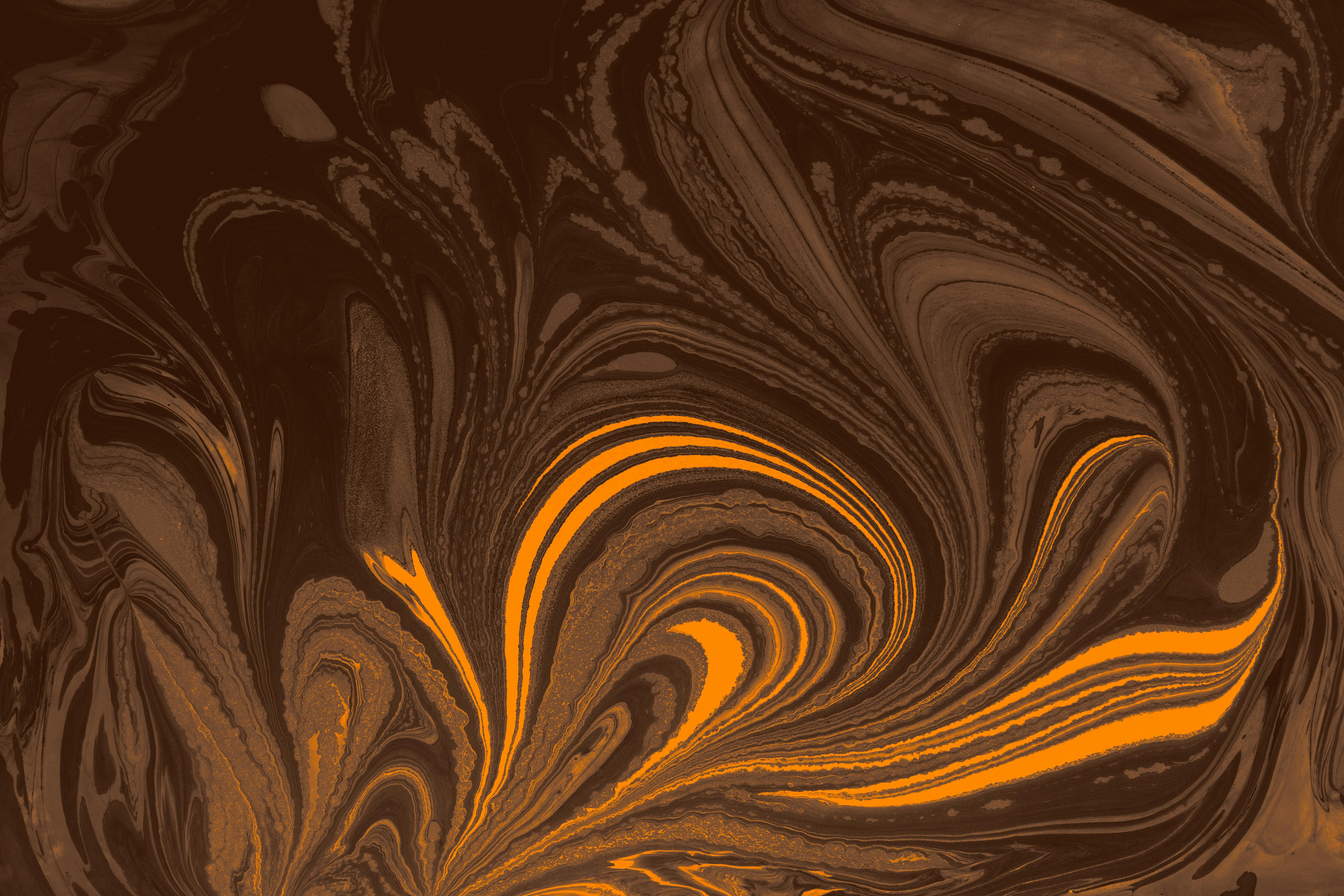 Color: Brown Photos, Download The BEST Free Color: Brown Stock Photos