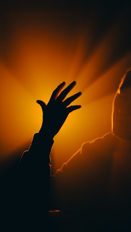 Hand Backlit Back Lit Hand · Free Stock Photo