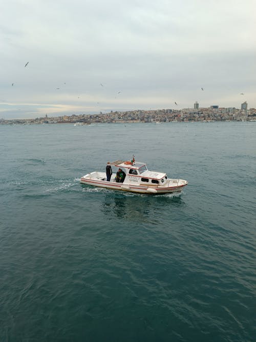 Бесплатное стоковое фото с белая лодка, вертикальный выстрел, водный транспорт
