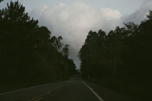 A moody road cutting through a dark forest under dramatic clouds creates a mysterious travel scene.
