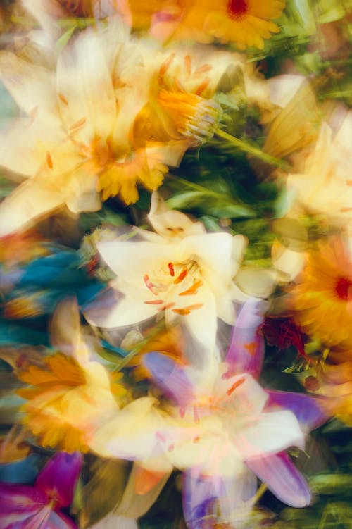 Colorful, Blurred Flowers