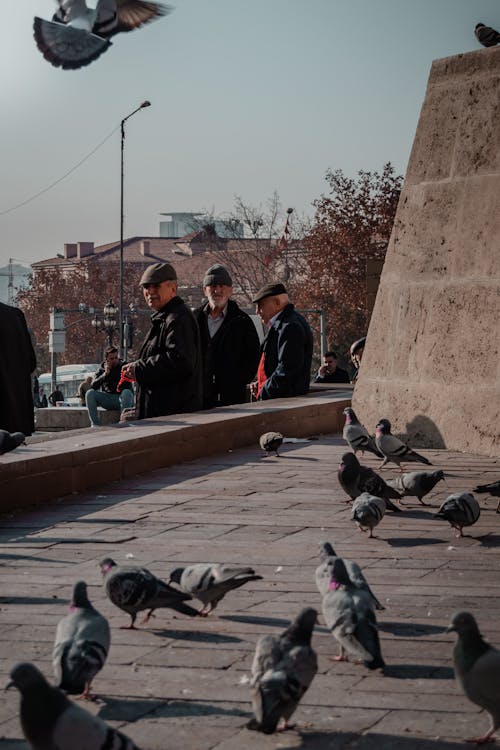 Δωρεάν στοκ φωτογραφιών με άνδρες, αστικός, γέρος