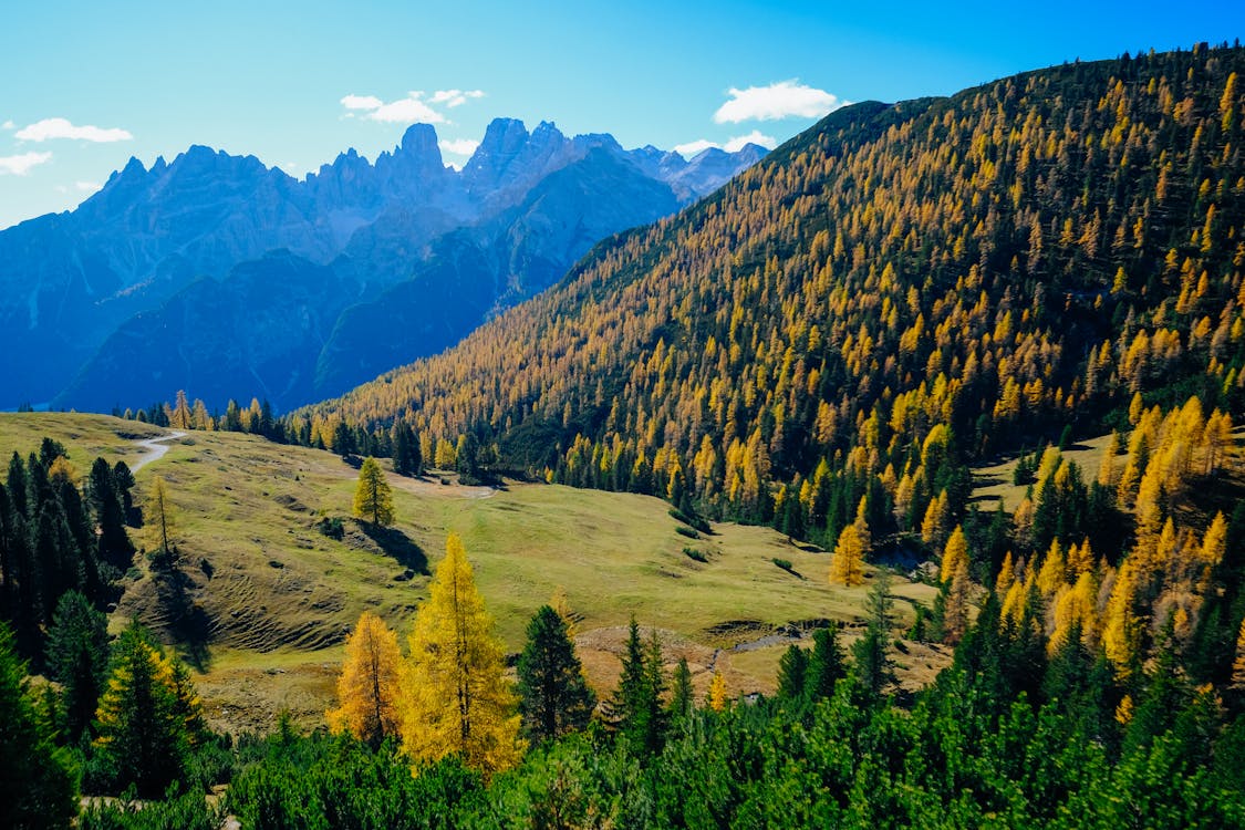 緑の山々の風景写真 無料の写真素材